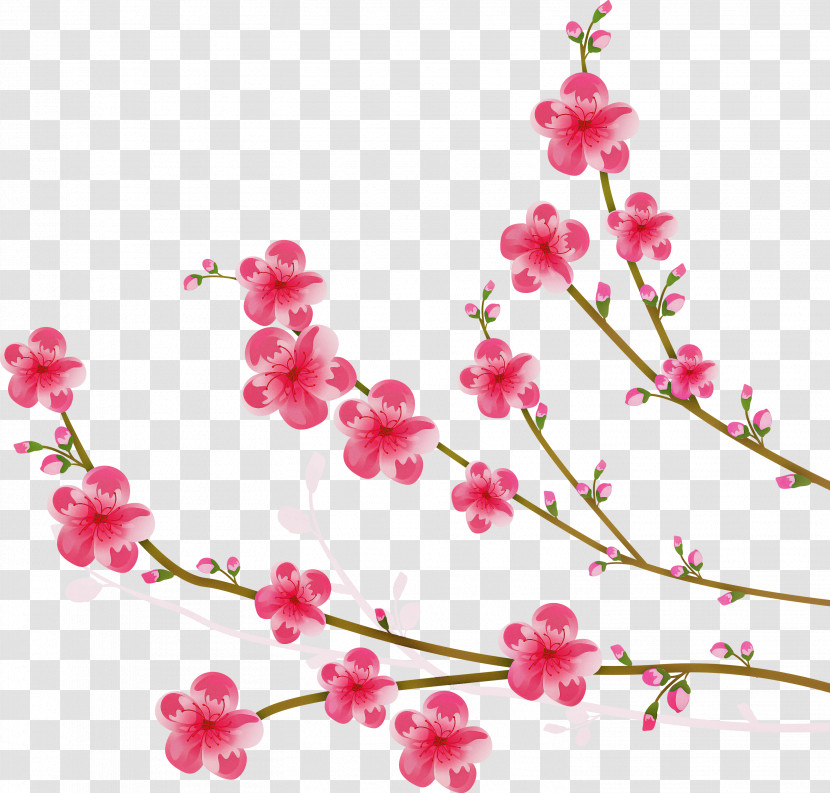 Flowers Floral Transparent PNG