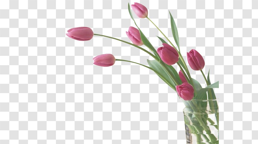 Flower Tulip Desktop Wallpaper - Arranging Transparent PNG