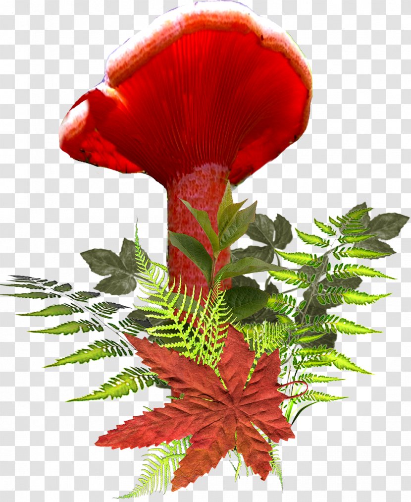 Drawing Art Clip - Cut Flowers - Champignon Transparent PNG