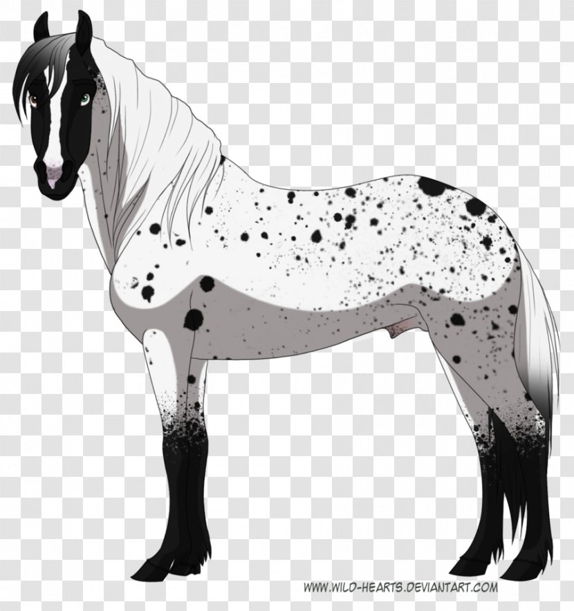 Mustang Stallion Mare Halter Dog - Neck - Silver Dots Transparent PNG