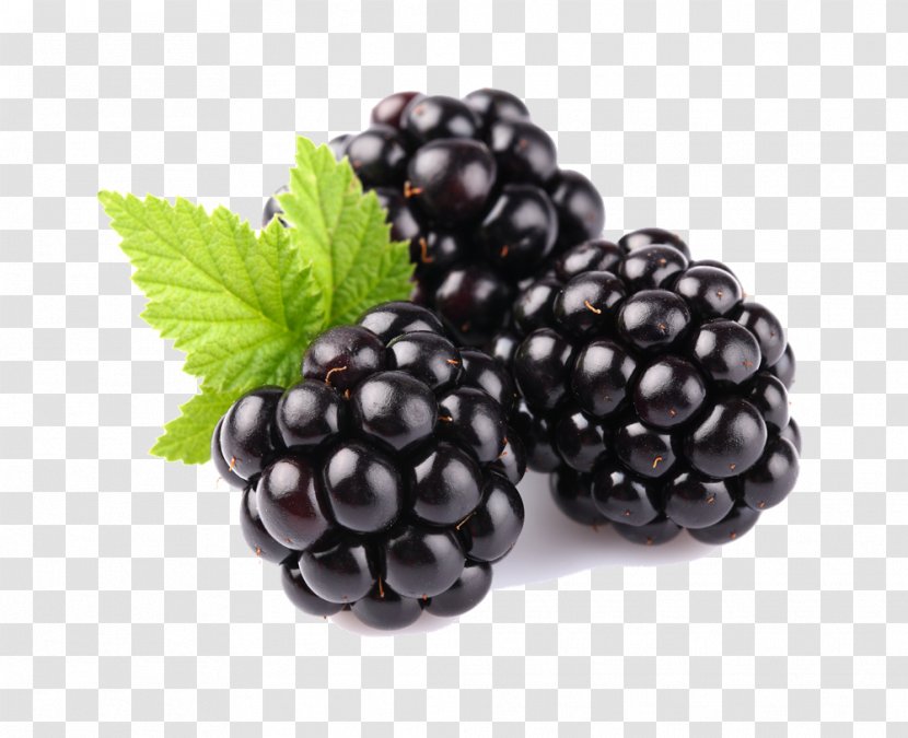 Blackberry Fruit Blueberry Ripening - Free Download Transparent PNG