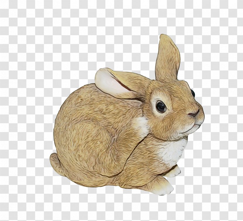 Rabbit Mountain Cottontail Rabbits And Hares Animal Figure Hare - Audubons Toy Transparent PNG