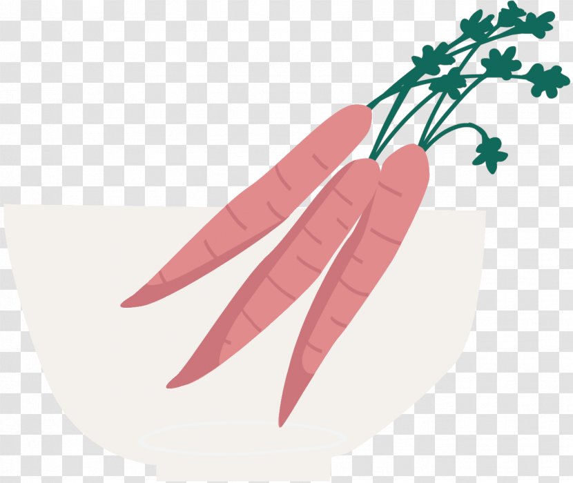 Vegetable Food Greens Carrot Beetroots - Ingredient - Hand Transparent PNG