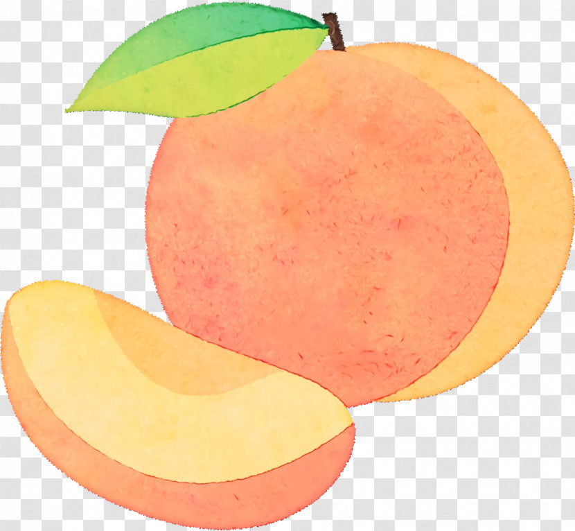 Grapefruit Apple Apple Transparent PNG