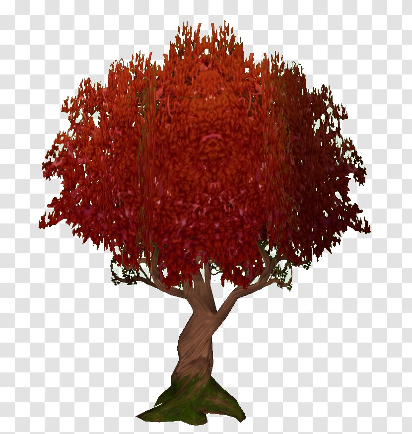 Maple Tree Transparent PNG