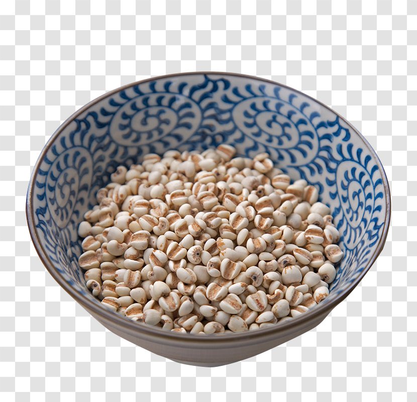 Adlay Rice Barley Bowl Transparent PNG