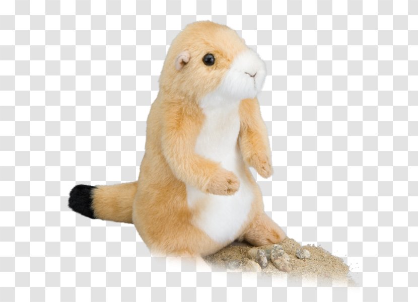 Prairie Dog Coyote Hare Stuffed Animals & Cuddly Toys Transparent PNG