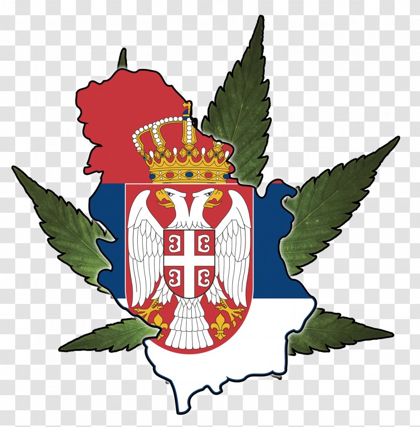 Flag Of Serbia Kingdom Krajina - Country - Bunting Material Transparent PNG