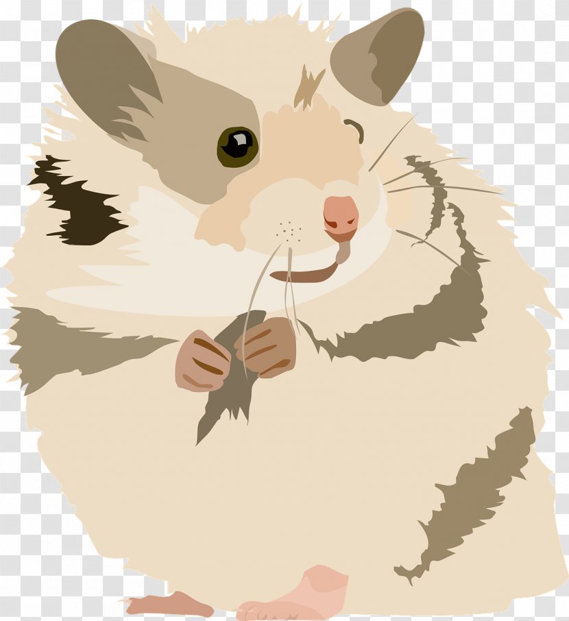 Golden Background - Cartoon - Whiskers Guinea Pig Transparent PNG