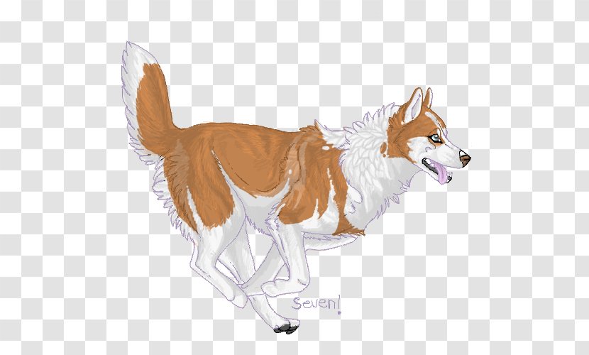 Dog Breed Red Fox Dhole Fur - Siberian Husky Transparent PNG