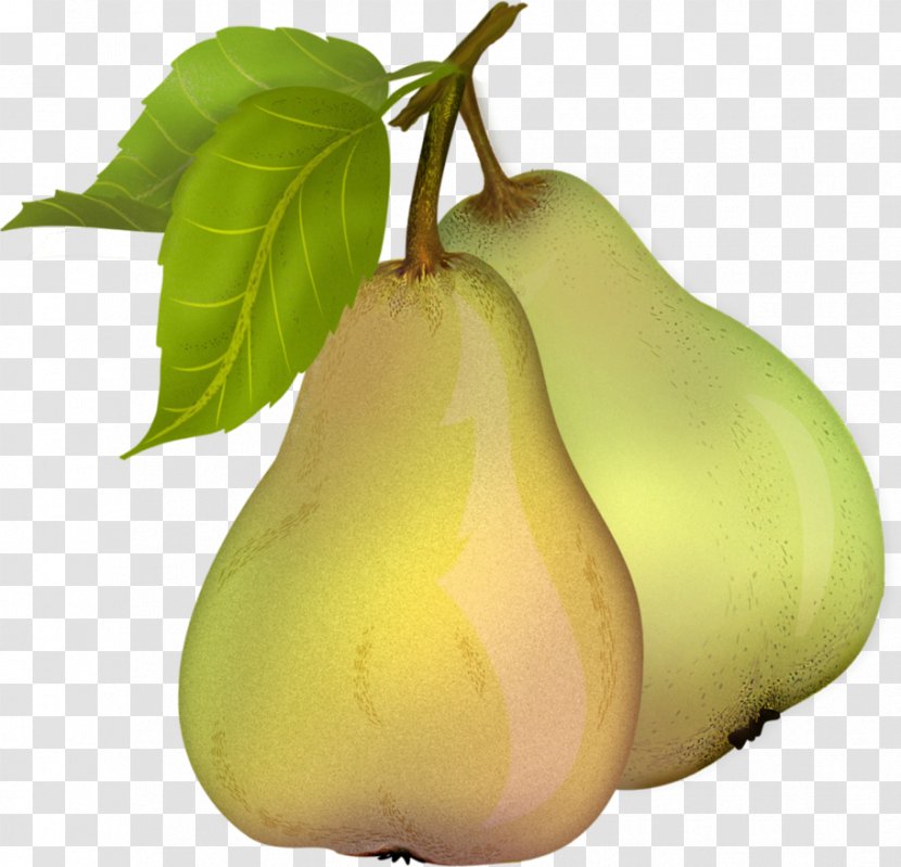 Pear Clip Art - Fruit - Free Download Transparent PNG