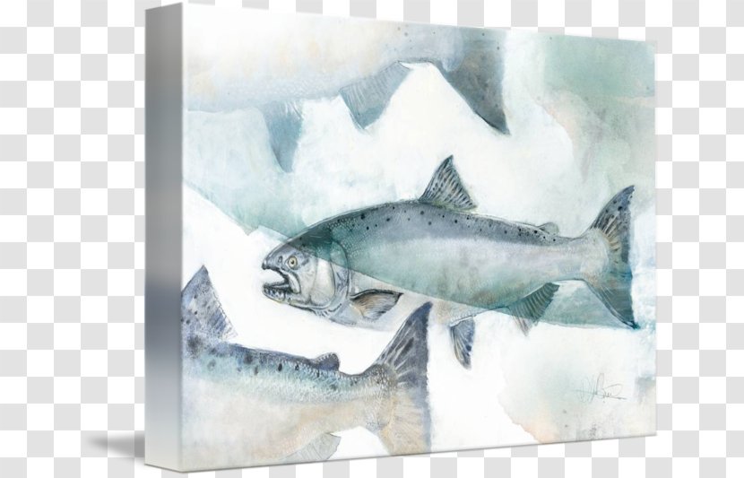 Shark Watercolor Painting Gallery Wrap Canvas Transparent PNG