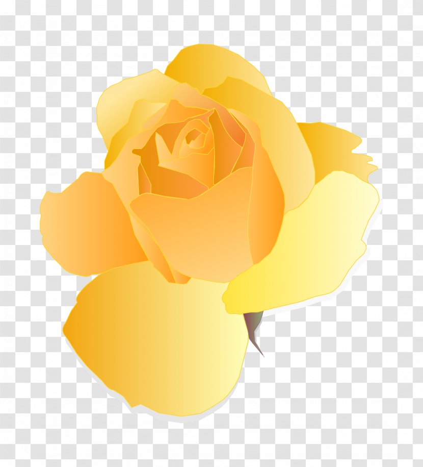 Eat And Style Rose Yellow Zazzle Thorns, Spines, Prickles Transparent PNG