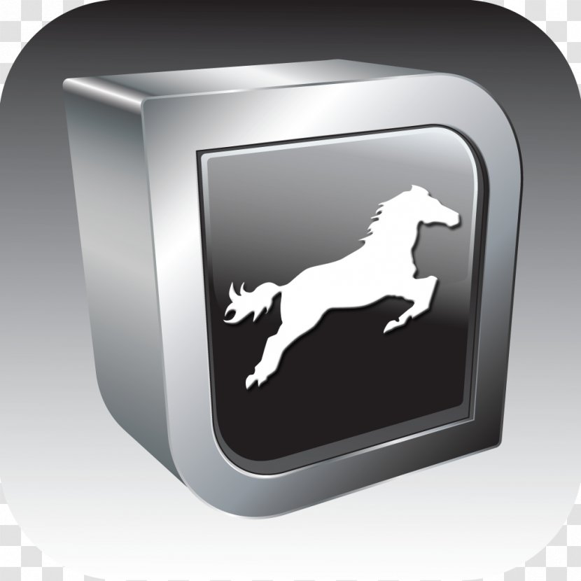 Horse Foal Equine Radiography Veterinarian Stable Transparent PNG