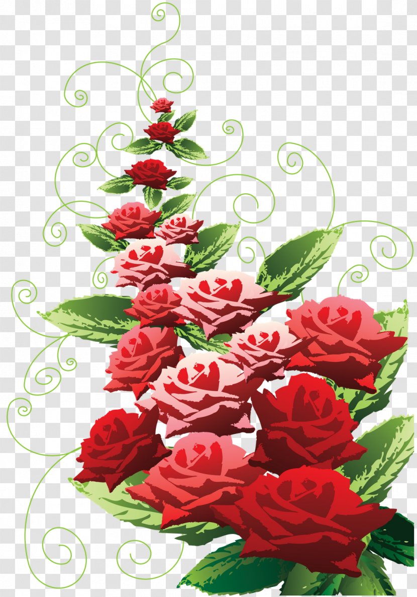Garden Roses Flower Beach Rose Clip Art - Bouquet - Vector Transparent PNG