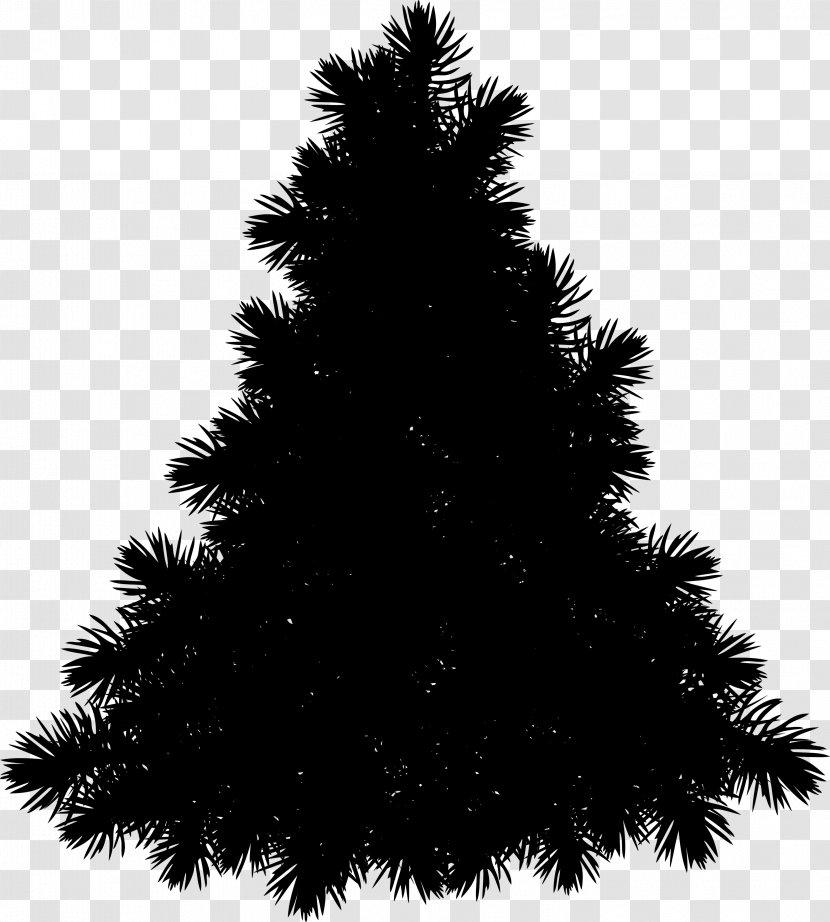 Spruce Christmas Ornament New Year Tree Graphics - Evergreen Transparent PNG