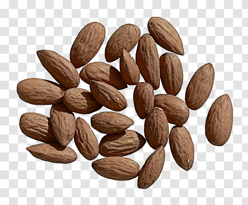 Almond Plant Superfood Food Nuts & Seeds - Seed Transparent PNG