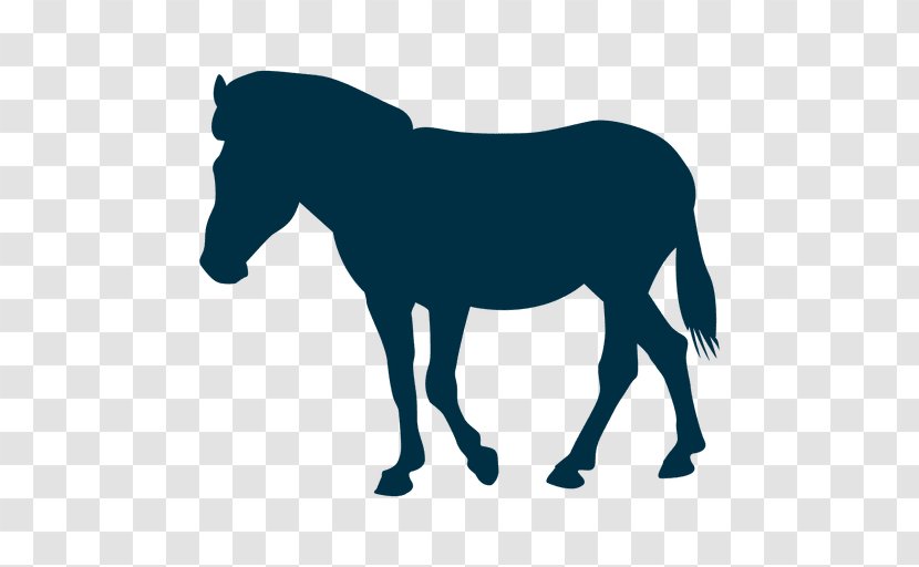Horse - Livestock - Pony Transparent PNG