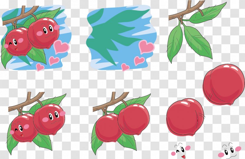 Illustration - Plant - Peach Tree Expression Vector Transparent PNG