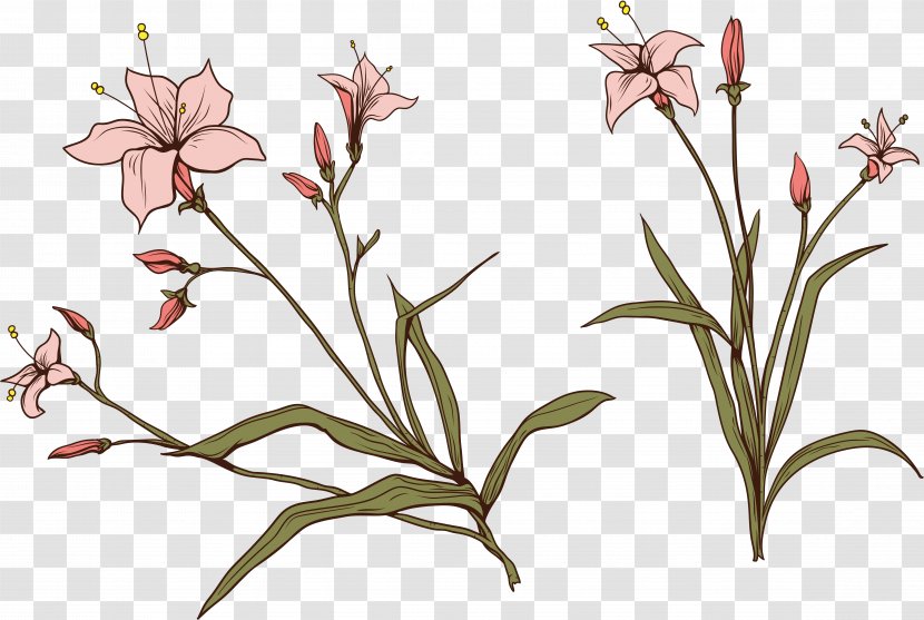 Flower Plant Stem Clip Art Transparent PNG