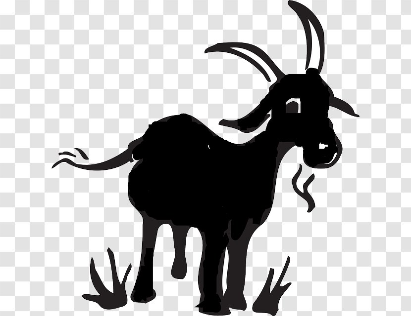 Black Bengal Goat Boer Drawing Cartoon Clip Art - Horn - Farm Transparent PNG
