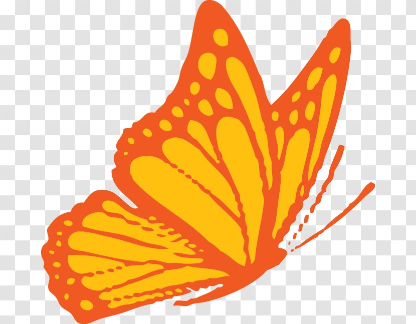 Monarch Butterfly Brush-footed Butterflies Food Clip Art - Arthropod Transparent PNG