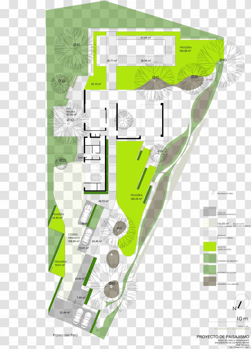 Gardening Project Landscaping Plan - Agapanthus Africanus Transparent PNG