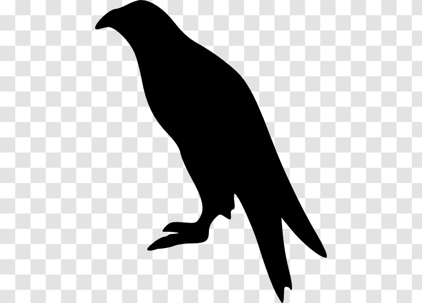 Bald Eagle Silhouette Clip Art - Bird SitTING Transparent PNG