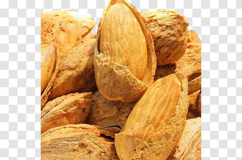 Almond Seed Nut Tooth Food - Ingredient Transparent PNG