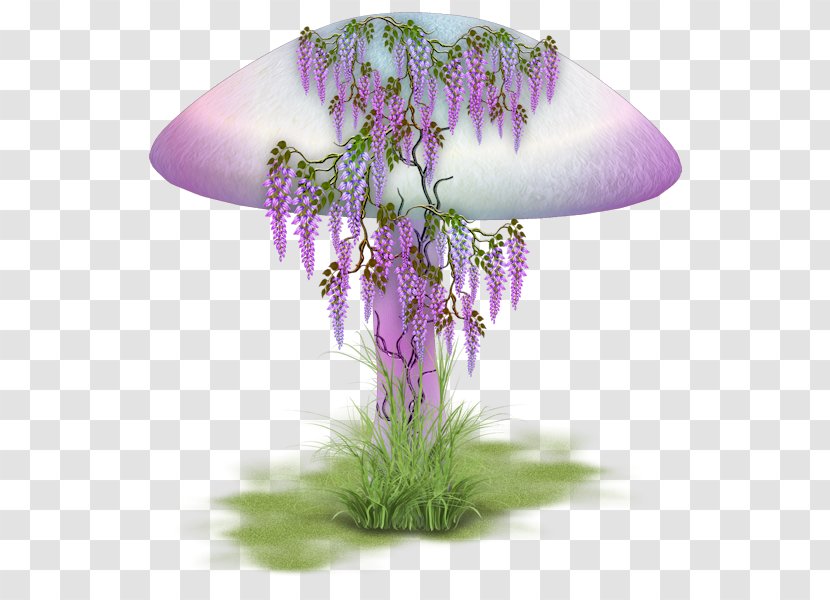 Mushroom Cut Flowers Drawing - Champignon Transparent PNG