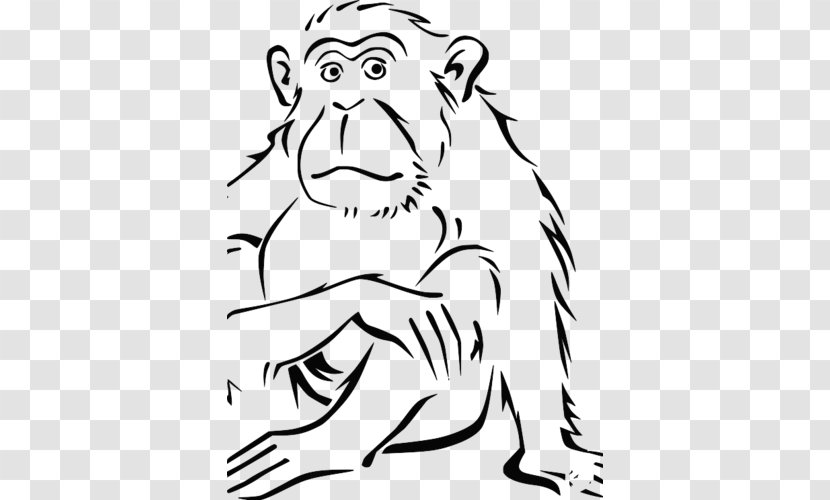 Coloring Book Spider Monkey Gorilla - Tree Transparent PNG