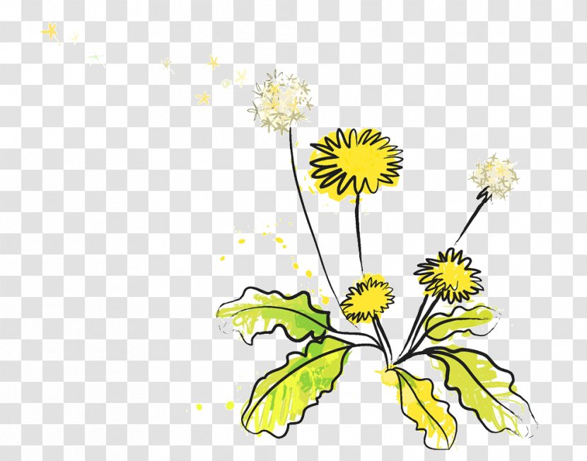 Vector Graphics Illustration Clip Art Image Euclidean - Painting - Canada Day Woman Dandelion Transparent PNG