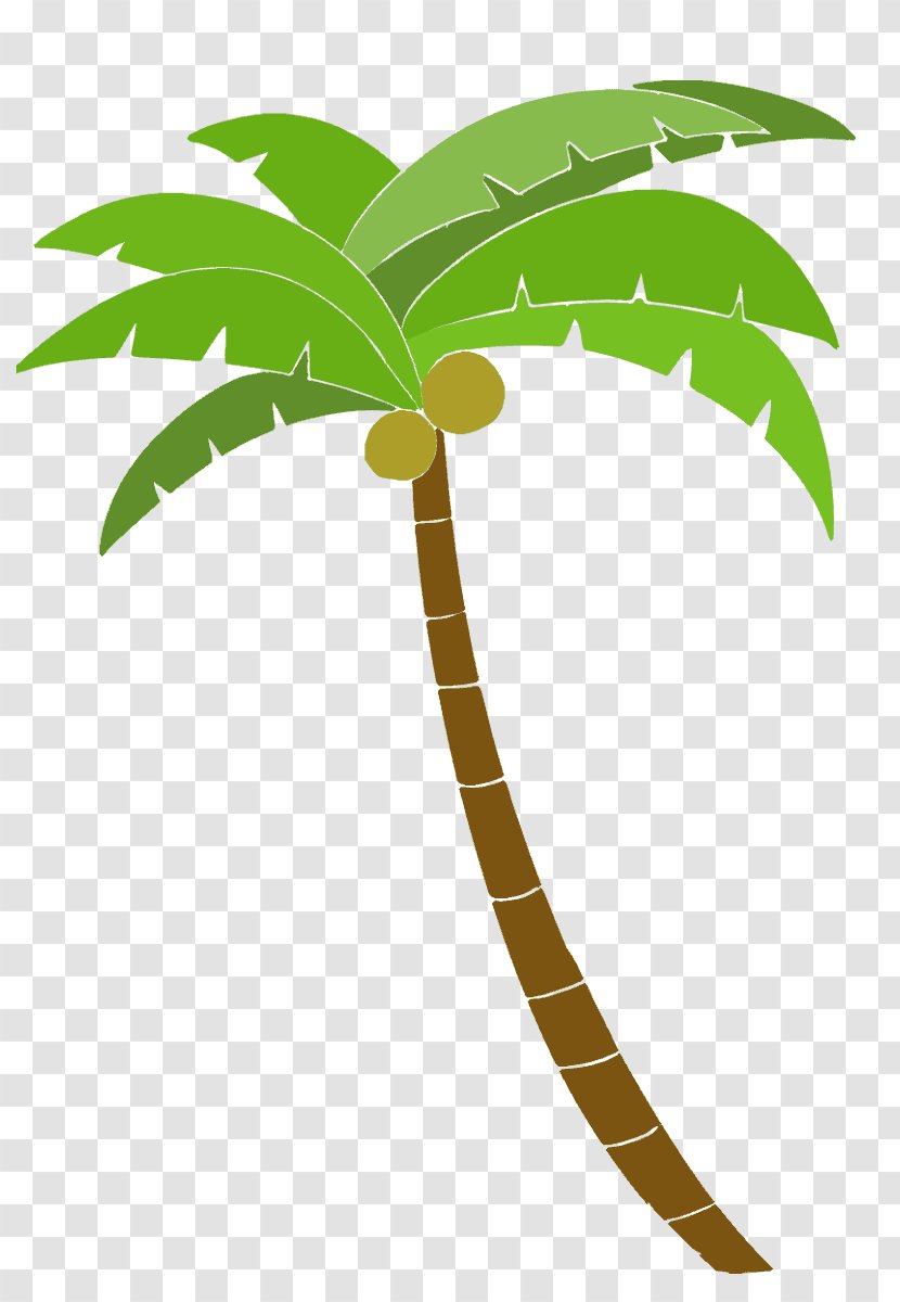 Arecaceae Illustrator Tree - Leaf Transparent PNG