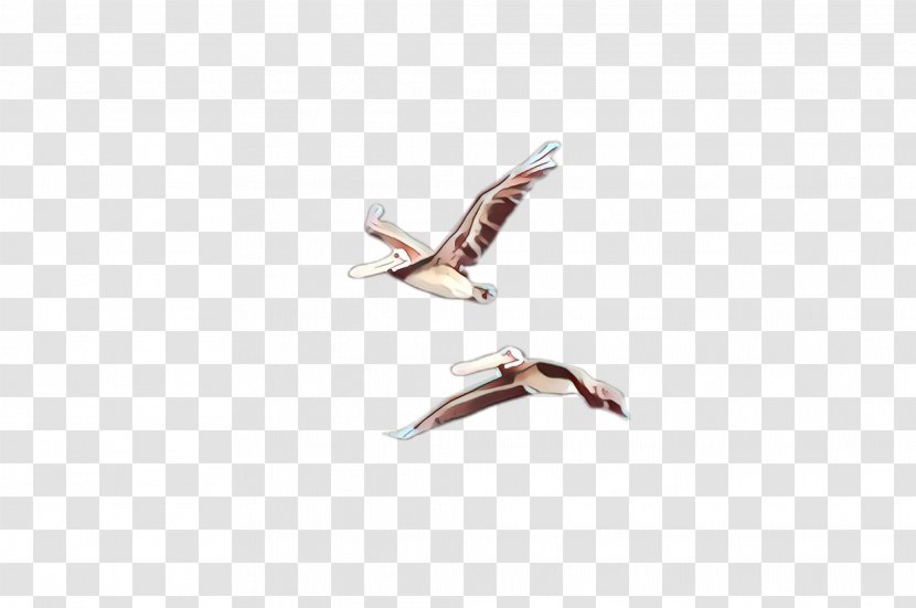 Seabird Wing Bird Gull Stork - Cartoon - Jewellery Water Transparent PNG
