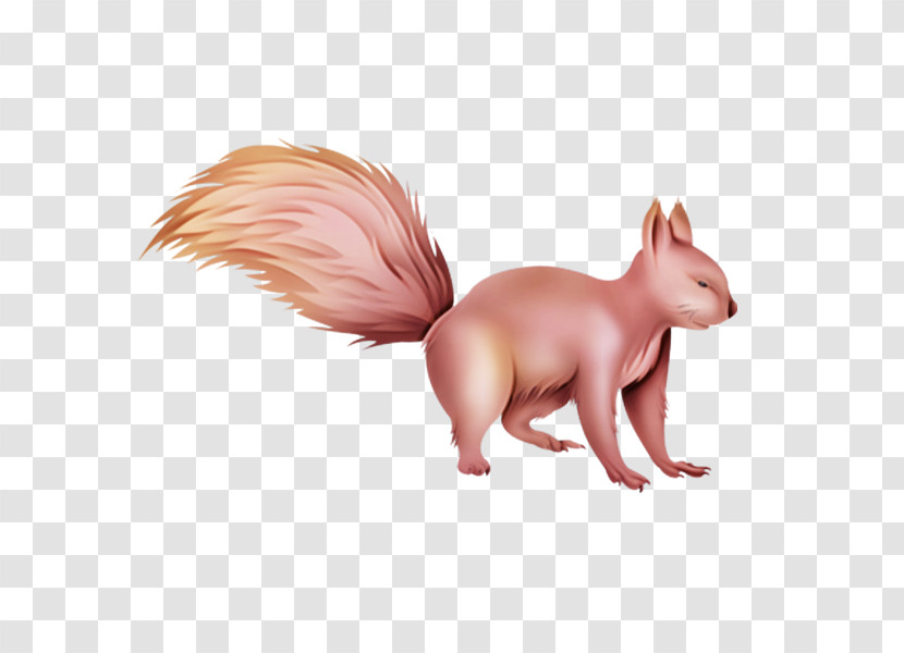 Squirrel Animal Figure Tail Fawn Transparent PNG