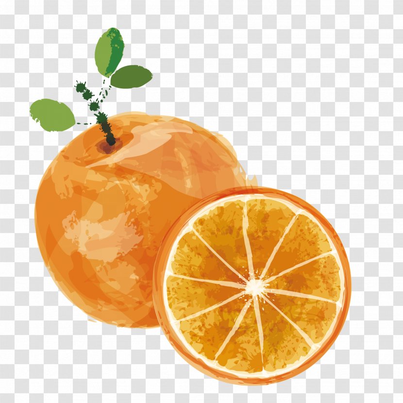 Juice Lemon Fruit Orange - Vegetarian Food - Vector Watercolor Transparent PNG