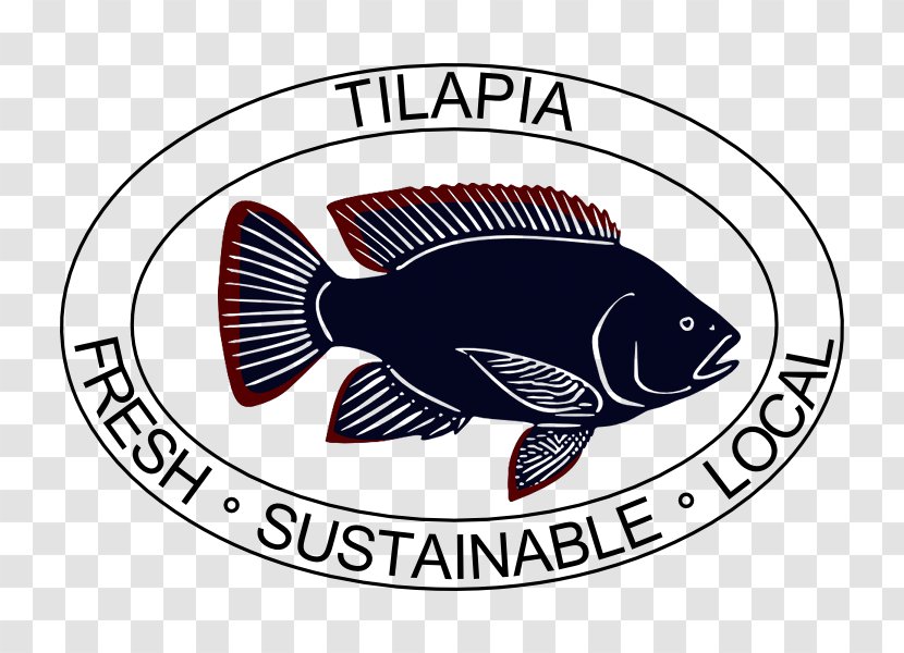 Logo Fish Tilapia Label Brand Transparent PNG