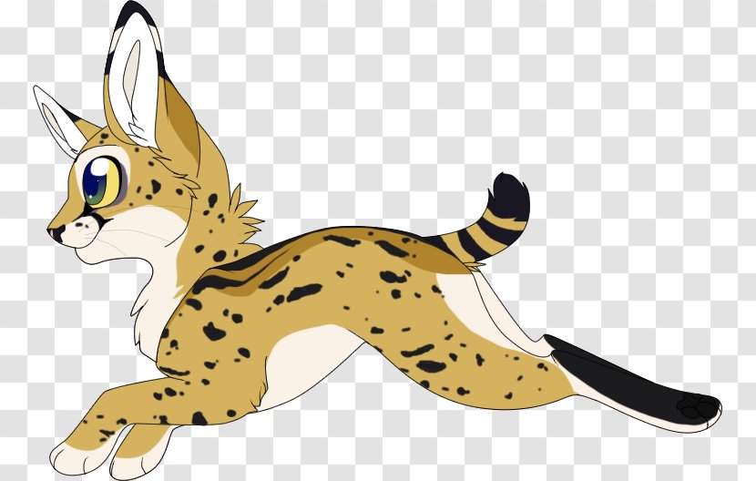 Cat Cheetah Leopard Clip Art - Big Cats Transparent PNG