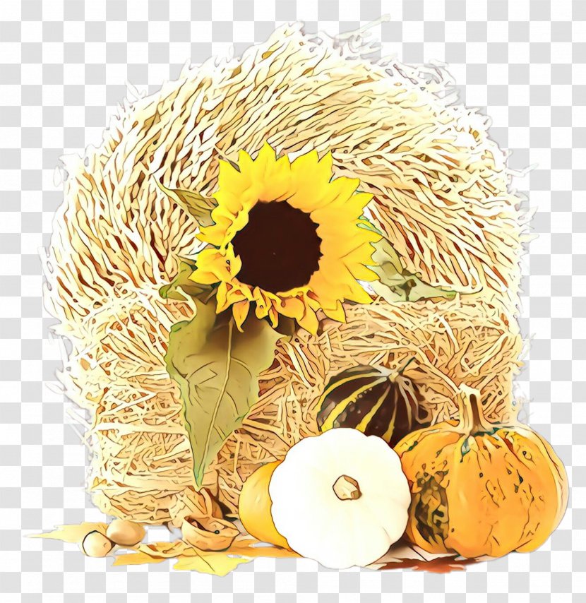 Sunflower - Bird Nest - Still Life Transparent PNG