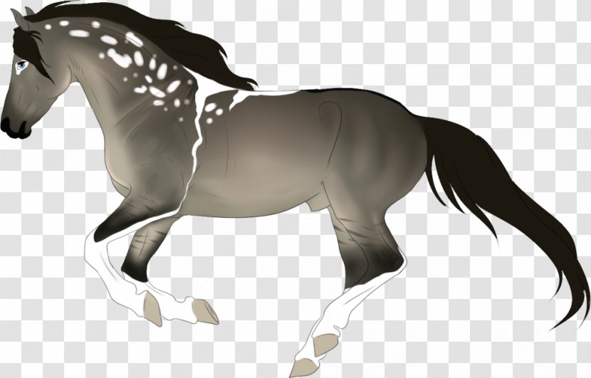 Mane Foal Stallion Pony Mare - Character - Mustang Transparent PNG