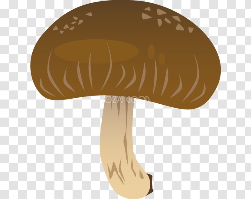 Hat Mushroom - Ai.zip Transparent PNG