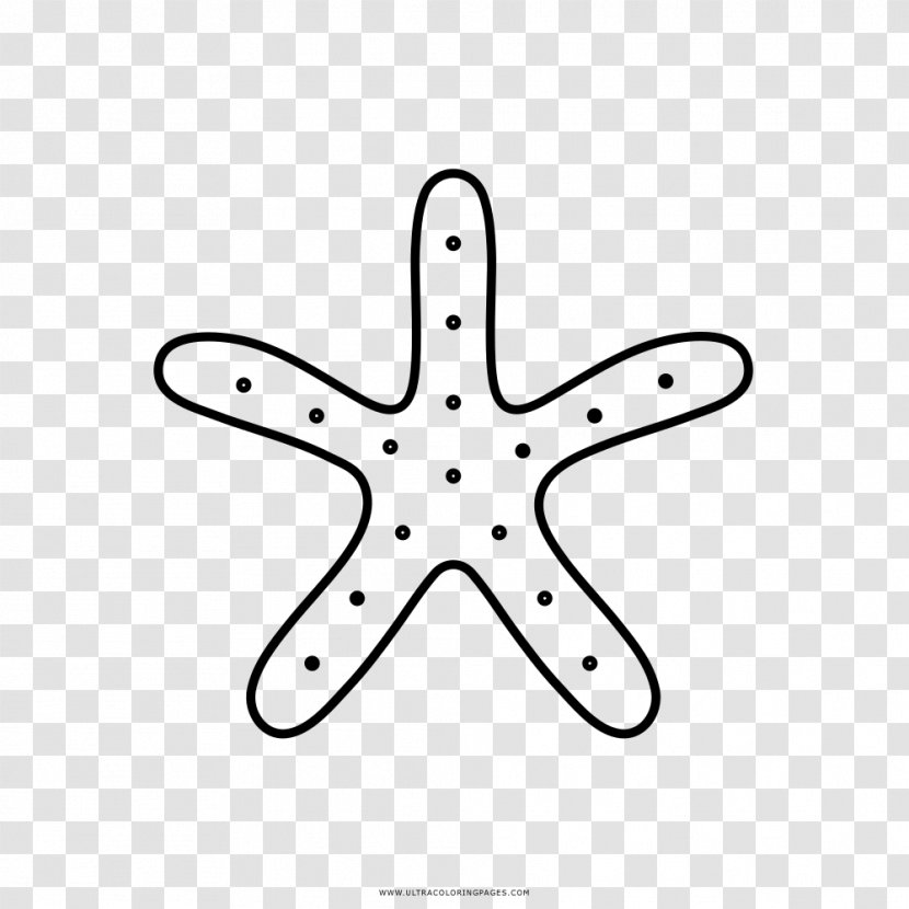 Starfish Black And White Drawing Coloring Book Painting - Color Transparent PNG