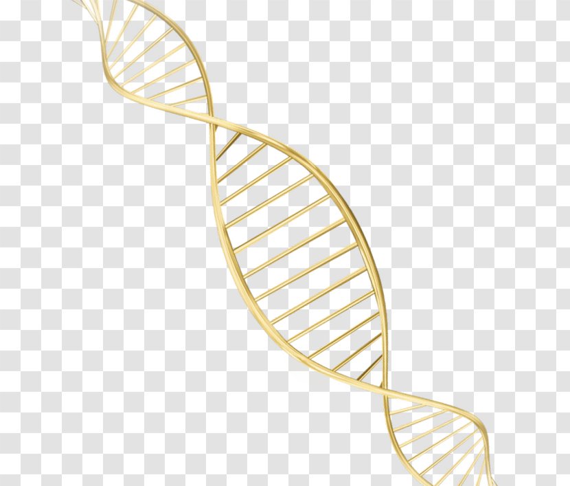 DNA Face Gene Color - Tableware - Gold Spiral Material Storm Transparent PNG