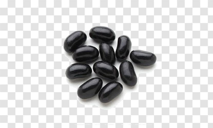 Liquorice Lollipop Gelatin Dessert Gummi Candy Jelly Bean Transparent PNG