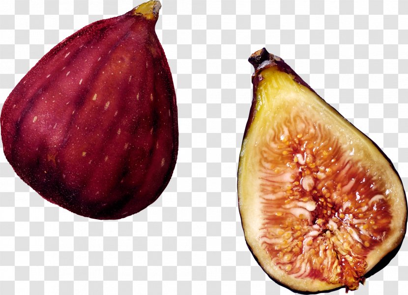 Common Fig Weeping Tree Fruit Transparent PNG