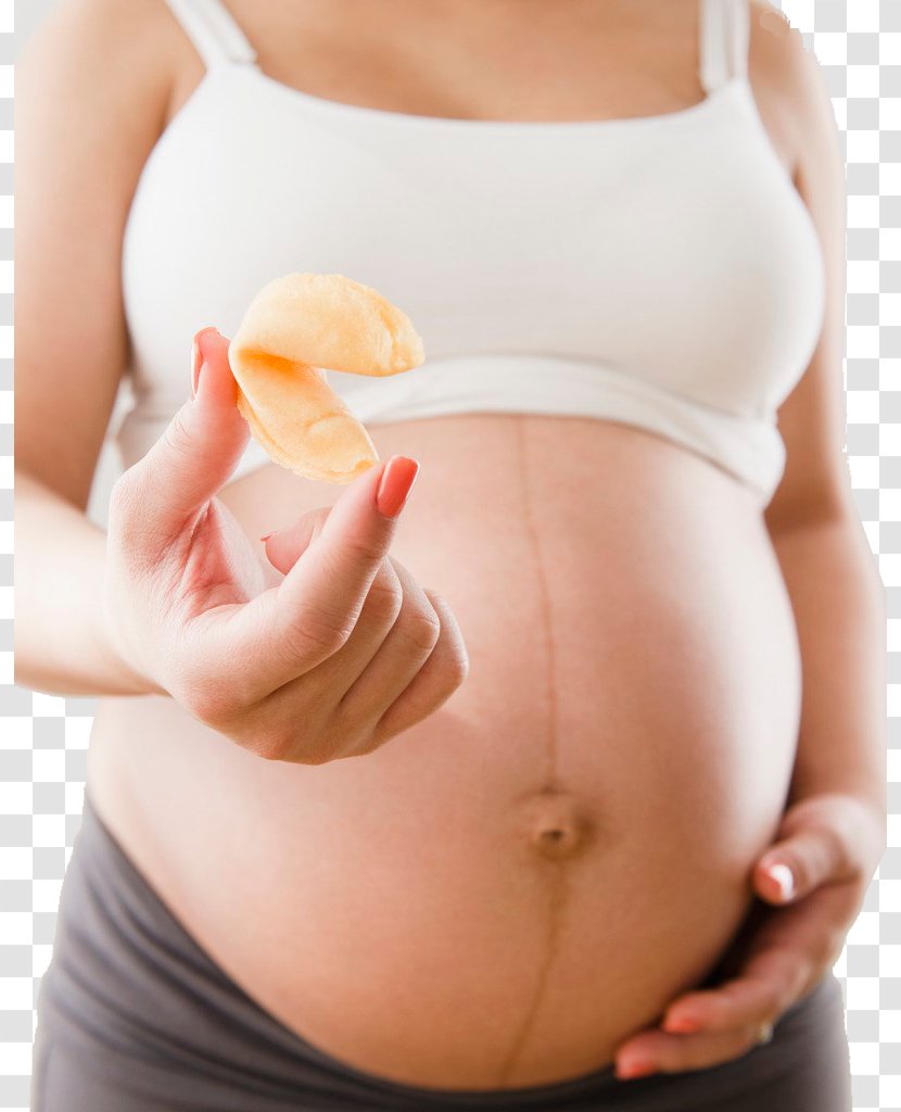 Pregnancy Mother Woman - Frame - Pregnant Woman,belly,pregnancy,Mother,Pregnant Transparent PNG