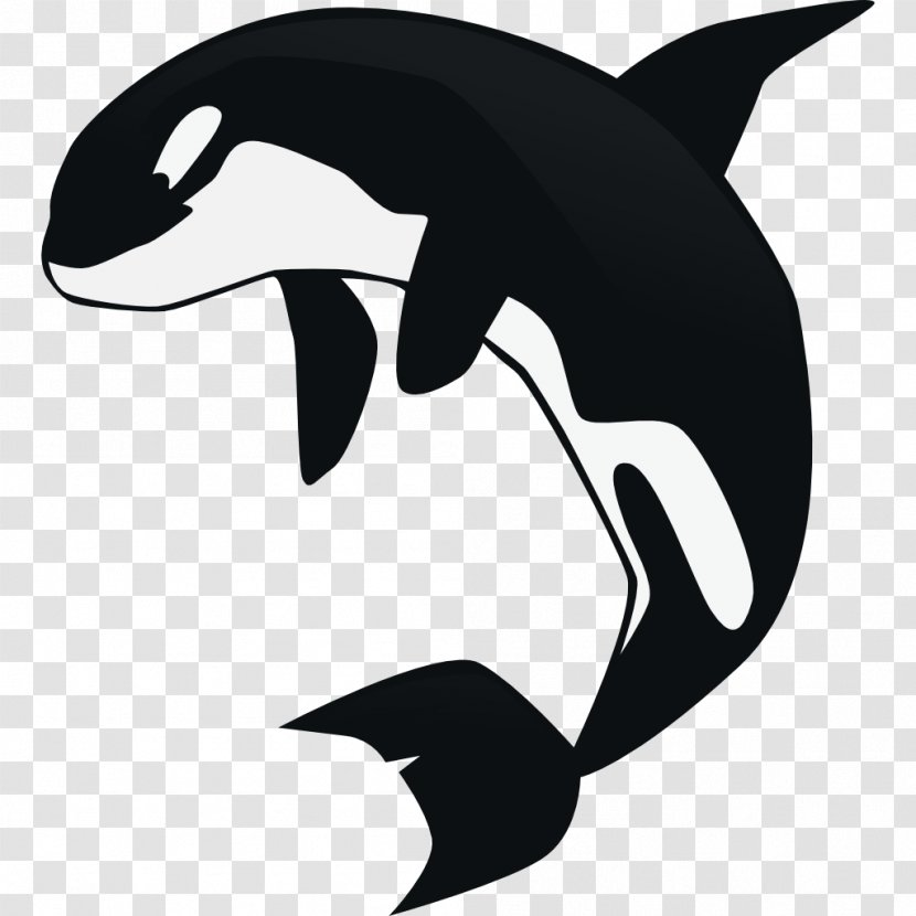 Killer Whale Cetacea Clip Art - Mammal Transparent PNG