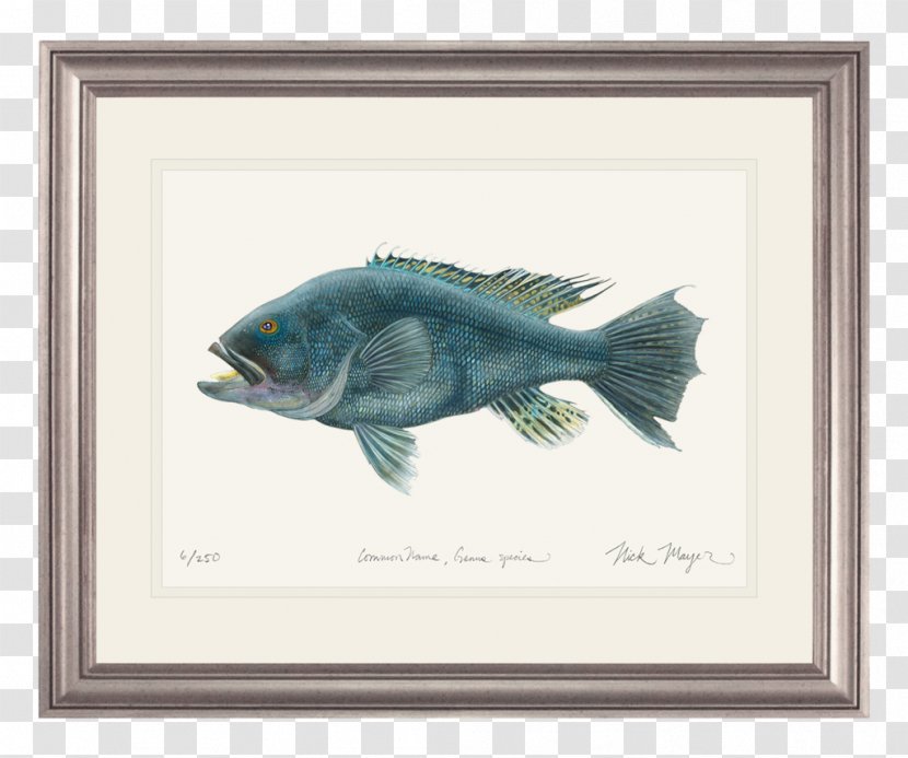 Watercolor Painting Northern Pike Fish Art - Picture Frame Transparent PNG