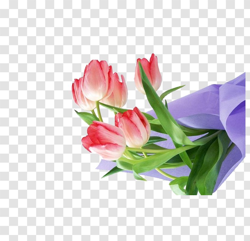 Flower Tulip Floral Design HVGA Wallpaper - Garden Roses - Bouquet Transparent PNG