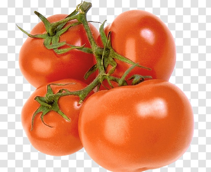 Plum Tomato Bush Food Baruipur Junction - Eggplant Transparent PNG